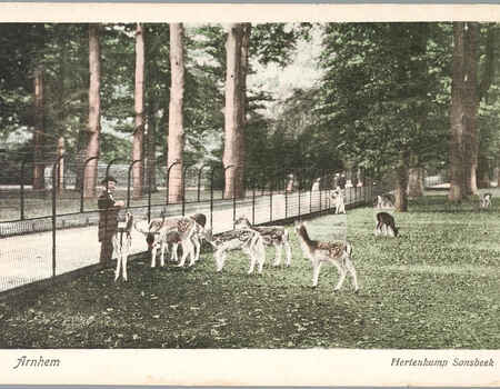 11 okt - 31 okt: Dieren in Arnhem - Van hondenkar tot huisdier 