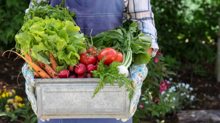 Vers geplukt door jou