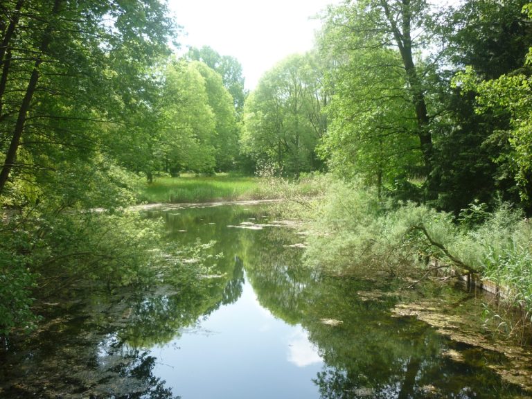 26 okt: De parken van Arnhem: vroeger en nu