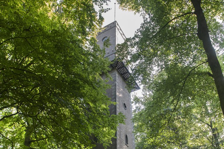 9 nov: Poëziewandeling Park Sonsbeek