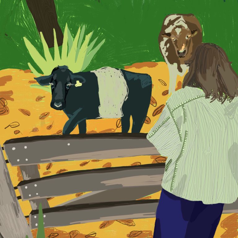 Nieuwsbrief november 2025